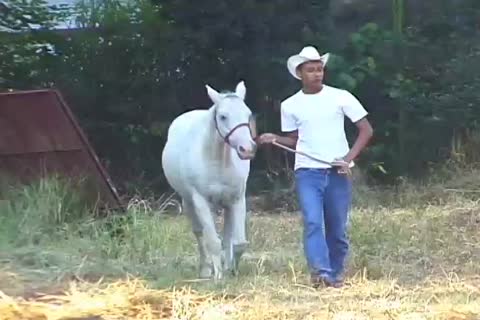 Farmer gets His cock Sucked By The Stableboy