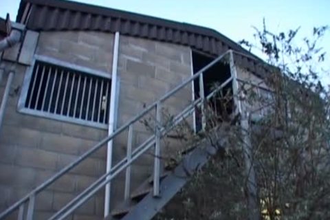 homo trio On The Farm With Nikos Laz