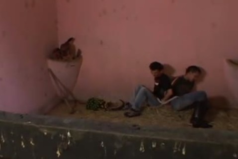 nasty burglars are caught easily