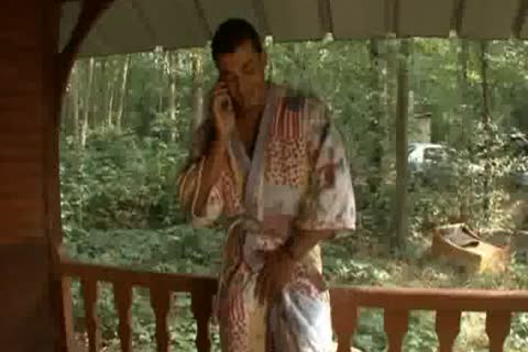 French lad Subversed II