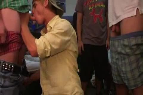 College boyz sucking And hammering