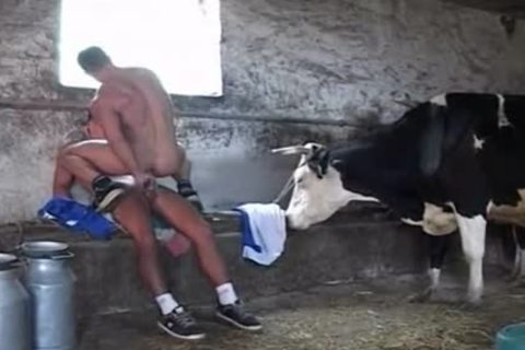 Great In The Barn pounding gay Style