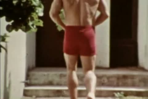 Bruno - wonderful Neighbors With Roger