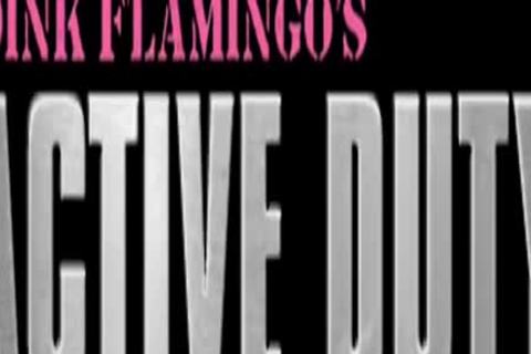 + 1 + 1 On 1 extreme Pervert butthole hammering Assworship Facesitting ++++++++++.mp4