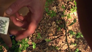 Tatted-up guy pulls down his jeans and bangs outside