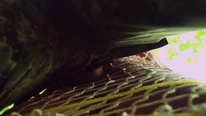 raw Bushmeat - Bo Sinn and Oliver Smith American Action