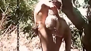 private Collection Of Larry Bronco