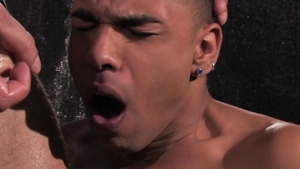 RagingStallion: Hairy Boomer Banks interracial pounding
