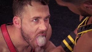 HotHouse: Ebony XL ass fucking