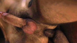 IconMale - Couple has a passion for plowing hard