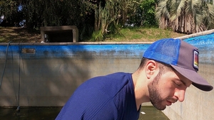 Latin Leche: Trouble Brewing, Butts Getting Busted