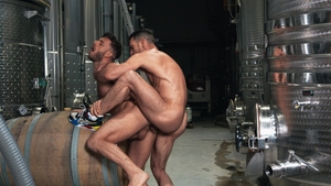 Men: Nookie at the Vineyard