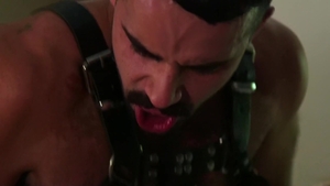 Bromo: Tattooed Teddy Takes My Hole