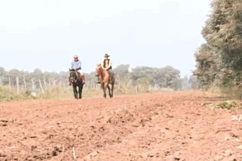 monstrous penis cowguys nailing on the ranch